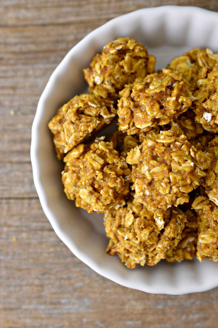 easy-hypoallergenic-dog-treat-recipe-pumpkin-and-oats